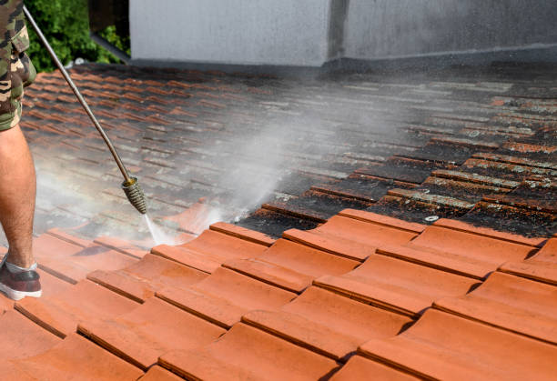 Trusted Wayne City, IL Pressure Washing Experts