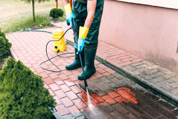 Best Exterior Home Cleaning  in Wayne City, IL